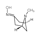 (+/-)-Pseudopelletierine oxime Structure