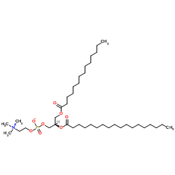 1-肉豆蔻酰基-2-硬脂酰基-sn-甘油-3-磷酸胆碱图片
