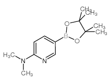 2-(二甲基氨基)吡啶-5-硼酸频哪酯结构式