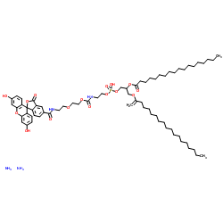 1,2-二硬脂酰基-sn-甘油-3-磷酸乙醇胺-N-[聚(乙二醇)2000-N'-羧基荧光素](铵盐)图片