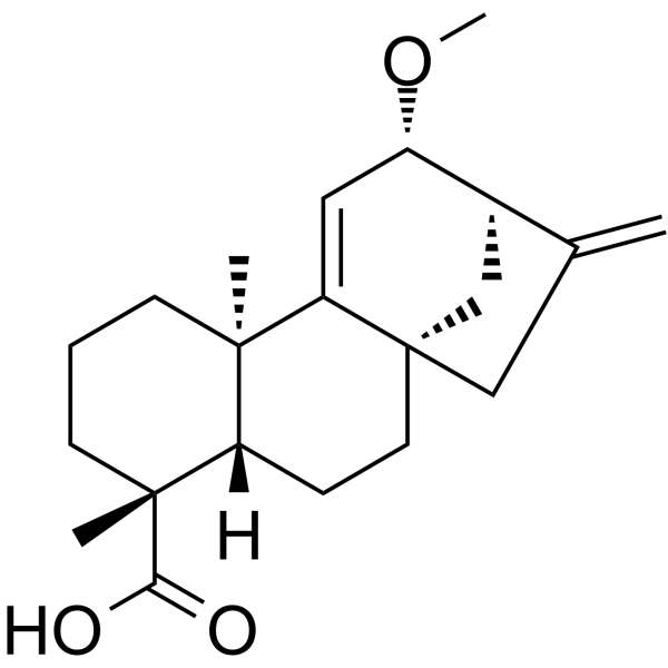 12α-Methoxygrandiflorenic acid picture