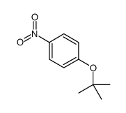 1-叔丁氧基-4-硝基苯结构式