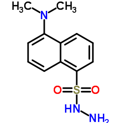 5-(Dimethylamino)-1-naphthalenesulfonohydrazide Structure