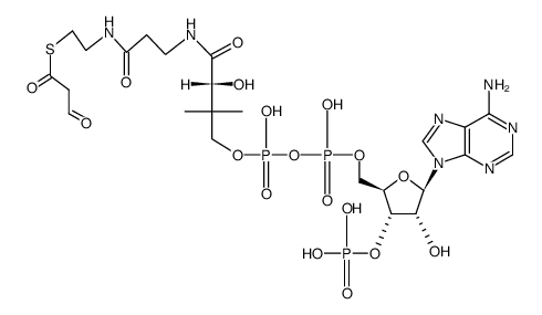 Malonyl-CoA semialdehyde Structure