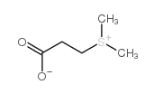 Dimethylsulfoniopropionate Structure