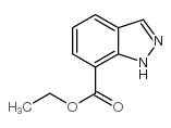 Ethyl 1H-Indazole-7-carboxylate picture
