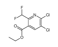 ethyl 5,6-dichloro-2-(difluoromethyl)pyridine-3-carboxylate Structure