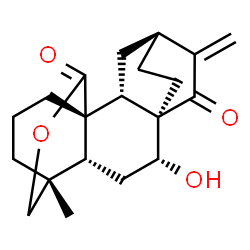 NC-043 Structure