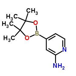 2-氨基吡啶-4-硼酸频哪醇酯结构式