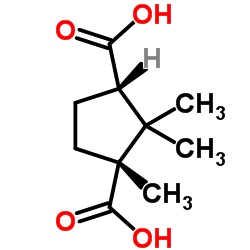 D-樟脑酸图片