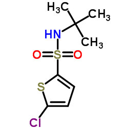 5-氯-2-噻吩叔丁基磺酰胺结构式