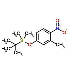 Dimethyl(3-methyl-4-nitrophenoxy)(2-methyl-2-propanyl)silane结构式