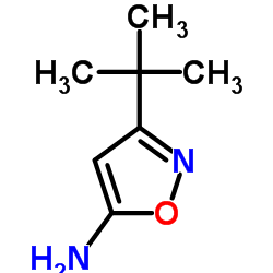 3-叔-丁基异恶唑-5-胺结构式