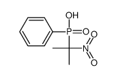 2-nitropropan-2-yl(phenyl)phosphinic acid Structure