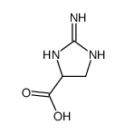 (9ci)-2-氨基-4,5-二氢-1H-咪唑-4-羧酸结构式