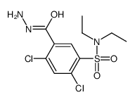 2,4-dichloro-N,N-diethyl-5-(hydrazinecarbonyl)benzenesulfonamide Structure