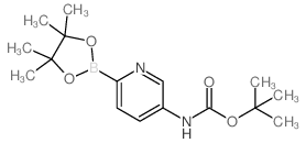 Boc-5-Aminopyridine-2-boronic acid pinacol ester Structure