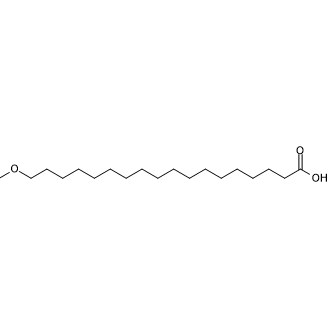 18-Methoxyoctadecanoic acid Structure