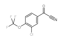 (3-氯-4-三氟甲氧基苯基)-氧代乙腈结构式