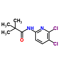 N-(5,6-Dichloro-2-pyridinyl)-2,2-dimethylpropanamide结构式