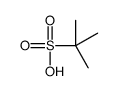2-methylpropane-2-sulfonic acid Structure