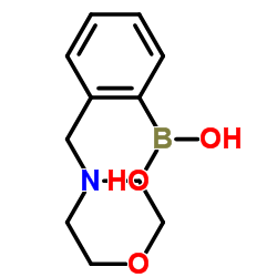 2-(吗啉甲基)苯基硼酸结构式