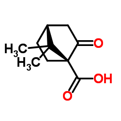 (S)-(+)-酮基蒎酸结构式