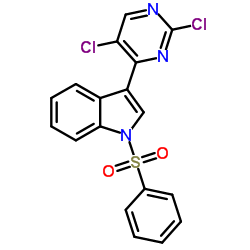 3-(2,5-二氯嘧啶-4-基)-1-(苯基磺酰基)-1H-吲哚图片