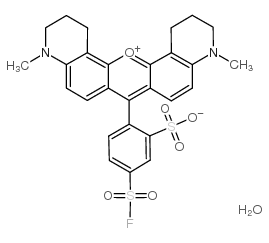 sulforhodamine q 5-acid fluoride结构式