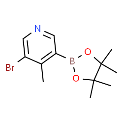 3-Bromo-4-methylpyridine-5-boronic acid pinacol ester Structure