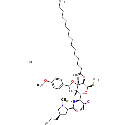 3,4-O-p-Anisylideneclindamycin PalMitate Hydrochloride picture