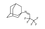 N-(1-adamantyl)-2,2,3,3,3-pentafluoropropan-1-imine Structure
