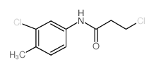 3-Chloro-N-(3-chloro-4-methylphenyl)propanamide结构式