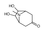 6,7-dihydroxy-8-methyl-8-azabicyclo[3.2.1]octan-3-one Structure