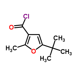 5-叔丁基-2-甲基呋喃-3-碳酰氯结构式