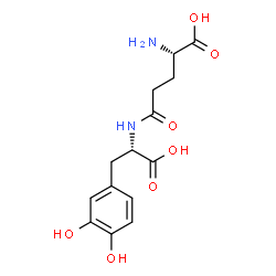 gamma-glutamyl DOPA结构式