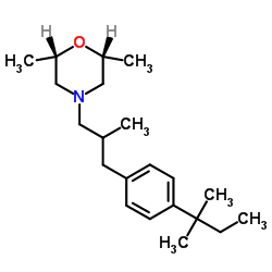 Amorolfine Structure