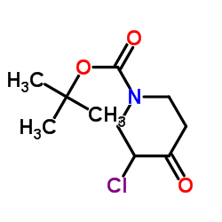 3-氯-4-氧代-1-哌啶羧酸-1,1-二甲基乙酯图片