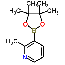 2-Methylpyridine-3-boronic acid pinacol ester structure