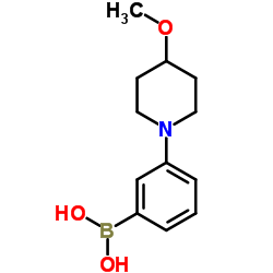 [3-(4-Methoxy-1-piperidinyl)phenyl]boronic acid Structure