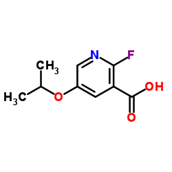 2-Fluoro-5-isopropoxynicotinic acid结构式