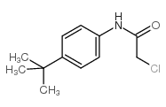 N-(4-叔丁基-苯基)-2-氯乙酰胺结构式