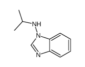 1H-Benzimidazol-1-amine,N-(1-methylethyl)-(9CI) structure