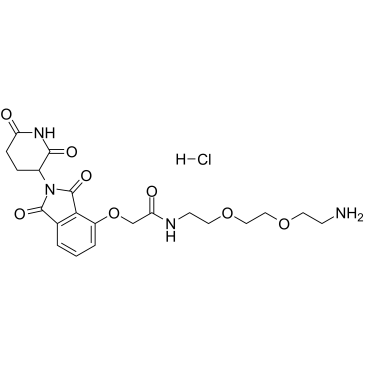 Thalidomide-O-amido-PEG2-C2-NH2 hydrochloride结构式