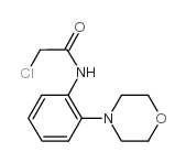 2-氯-N-(2-吗啉-4-苯基)-乙酰胺结构式