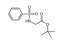tert-butyl 2-(benzenesulfonamido)acetate Structure