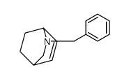 5-benzyl-5-azabicyclo[2.2.2]oct-2-ene Structure