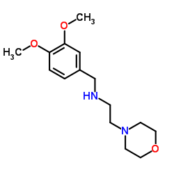 (3,4-DIMETHOXY-BENZYL)-(2-MORPHOLIN-4-YL-ETHYL)-AMINE Structure