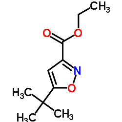 5-叔丁基基-异噁唑-3-甲酸乙酯结构式