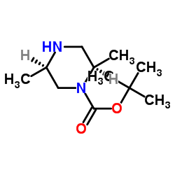 (2R,5R)-2,5-二甲基-1-哌嗪甲酸叔丁酯结构式